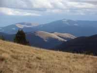 Helena National Forest